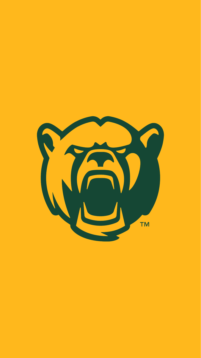 New Baylor Bear Logo - HD Wallpaper 