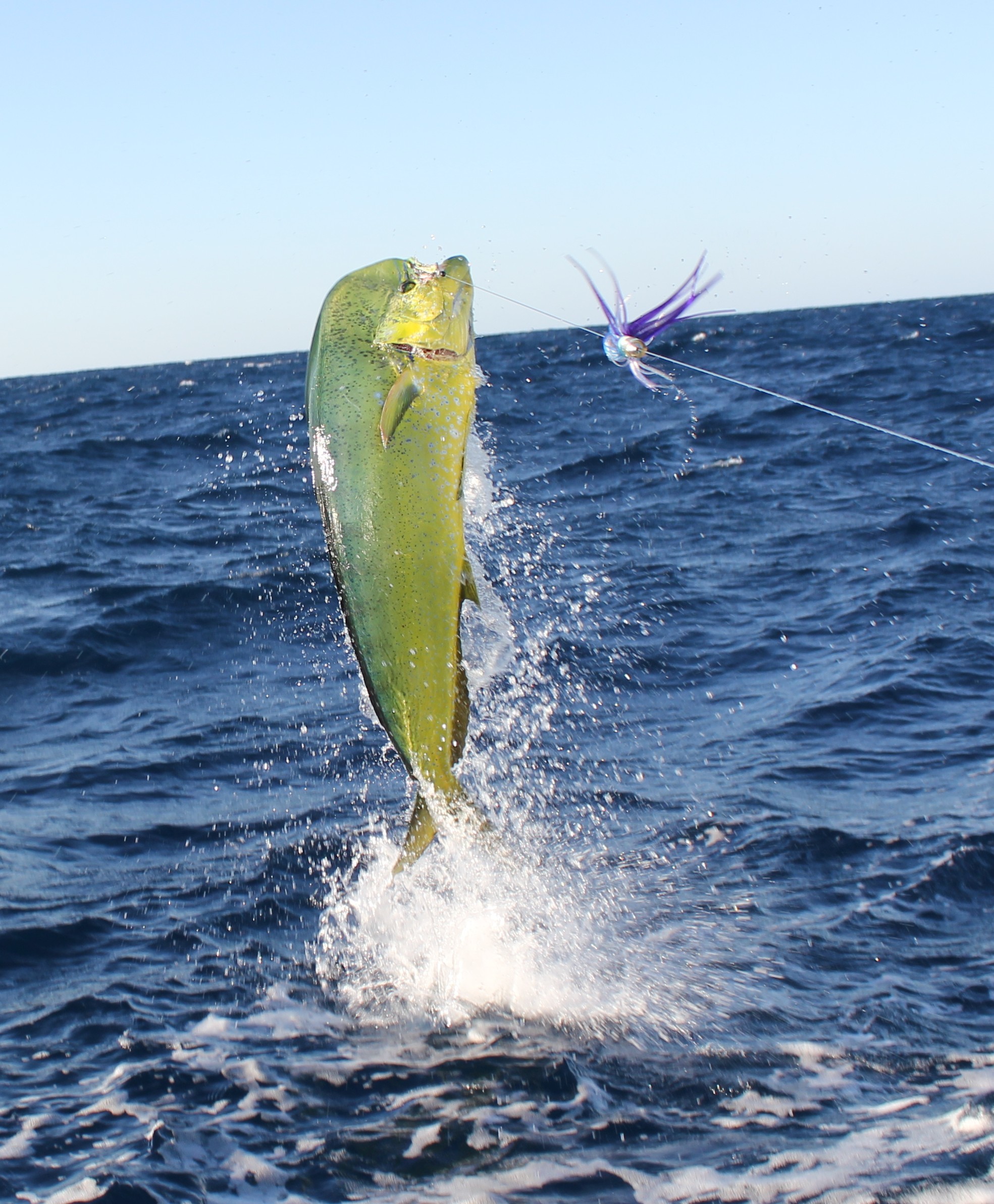 1969x2384, Hotel C Blanco Deep Ocean Fishing 
 Data - Ocean Fishing - HD Wallpaper 