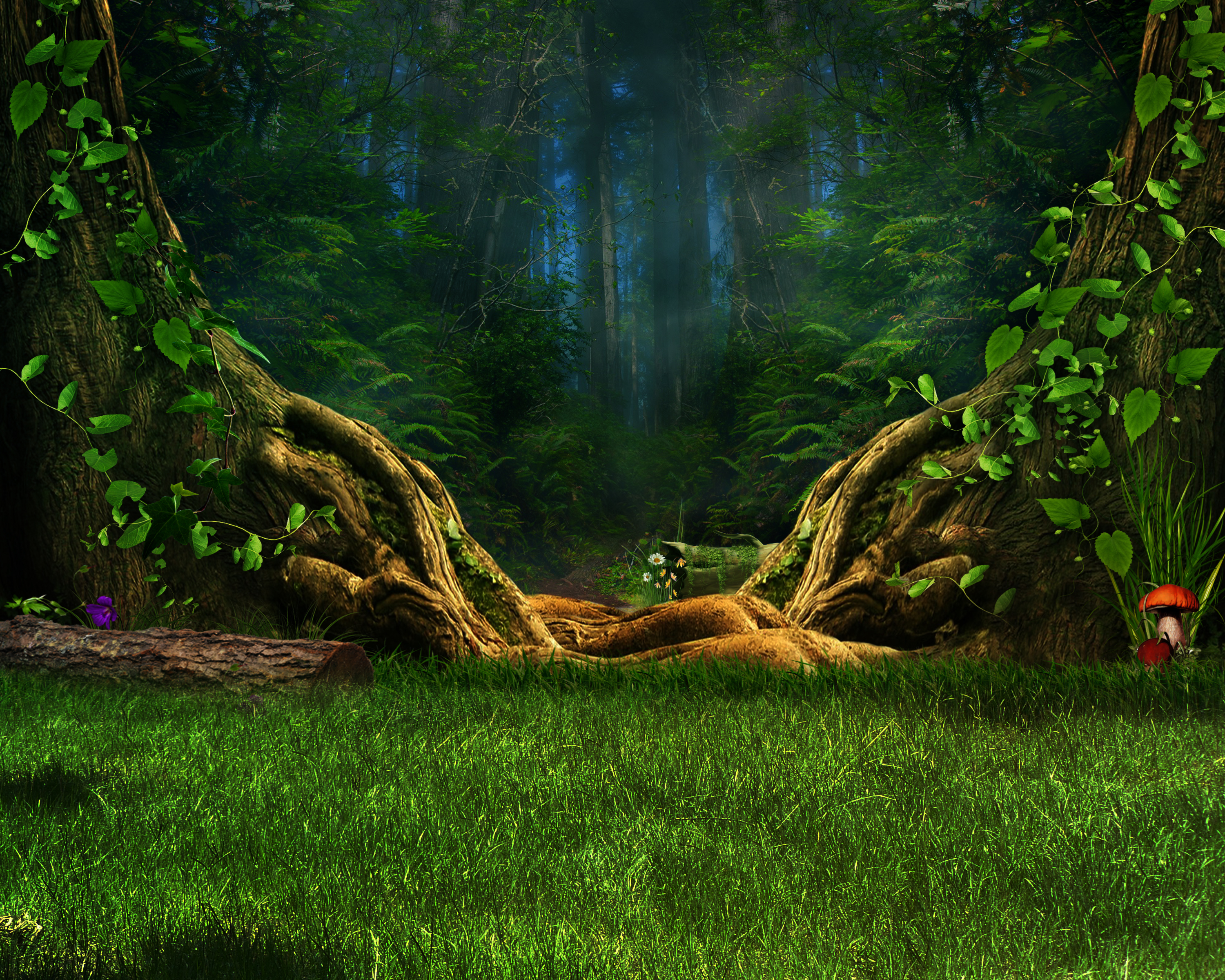 Backdrop Forest - HD Wallpaper 