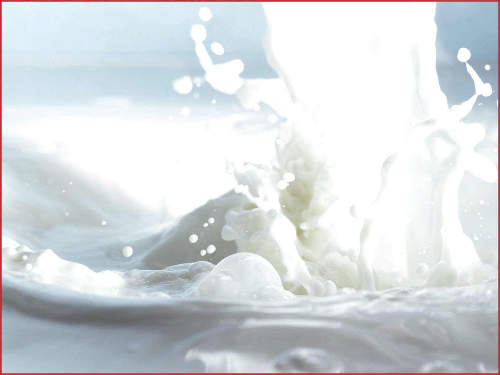 Free Milk Wallpapers - Full Hd Milk - 1610x1210 Wallpaper Free Milk Wallpapers - Full Hd Milk - 1610x1210 Wallpaper