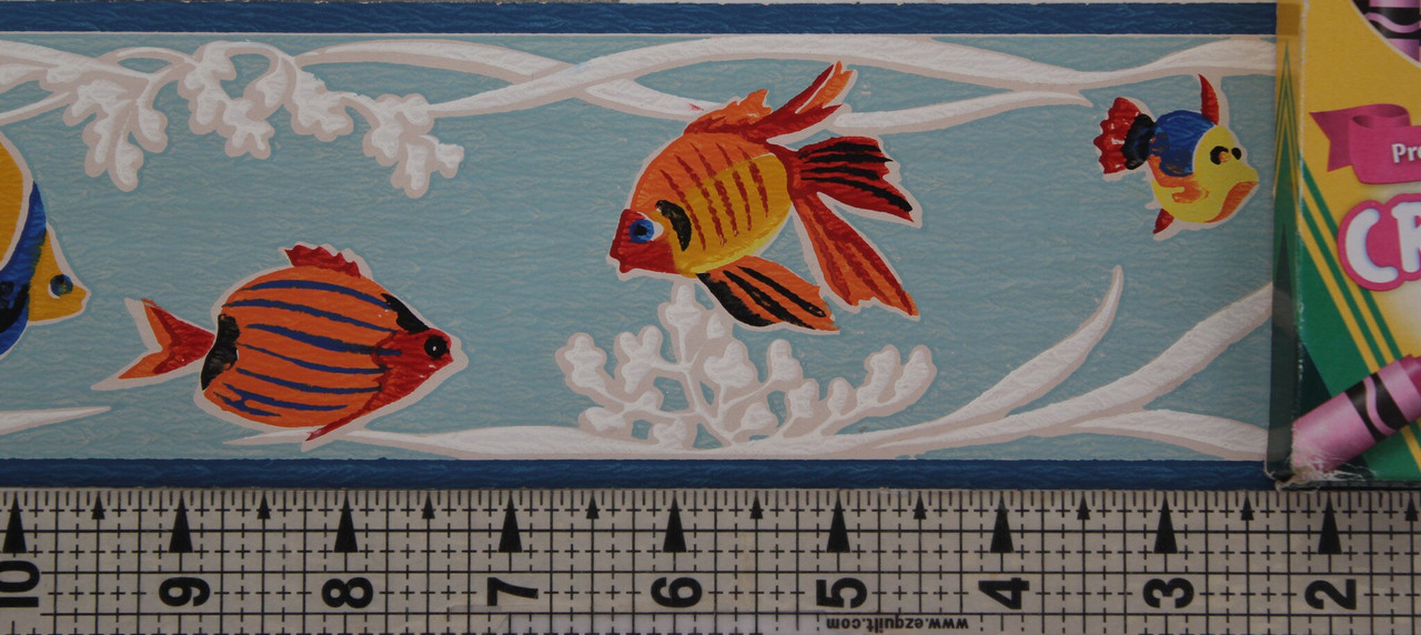 Coral Reef Fish - HD Wallpaper 