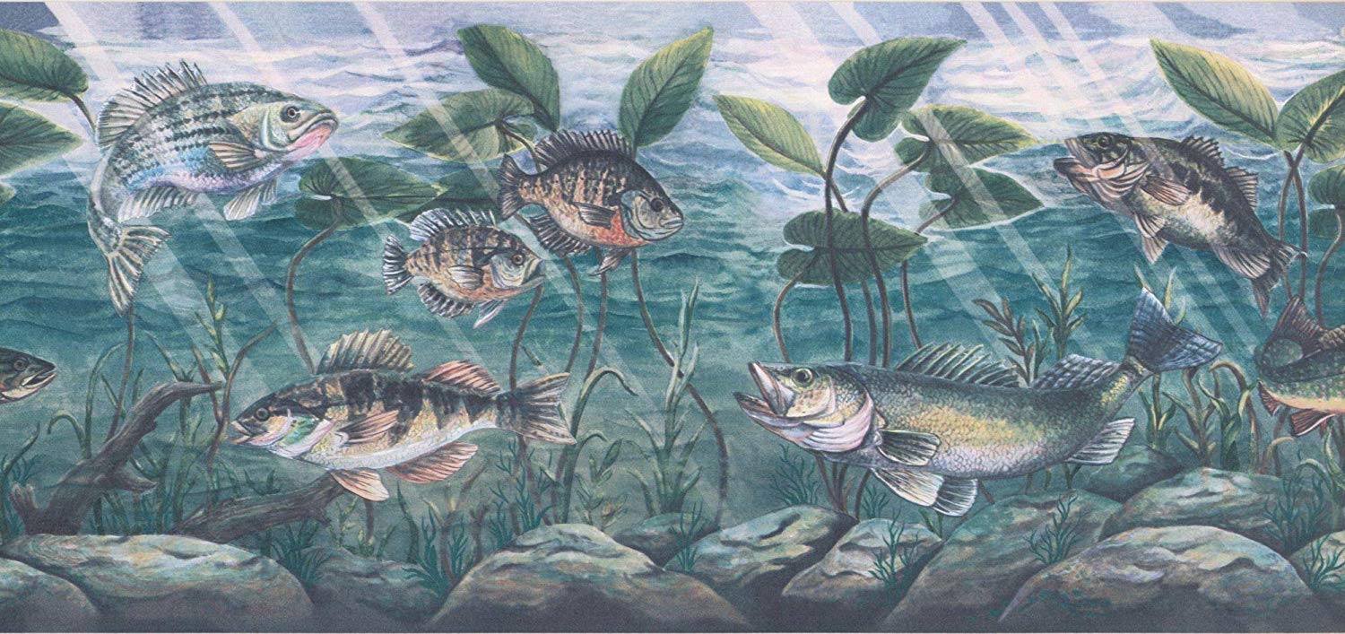 Fishwall Borders - HD Wallpaper 