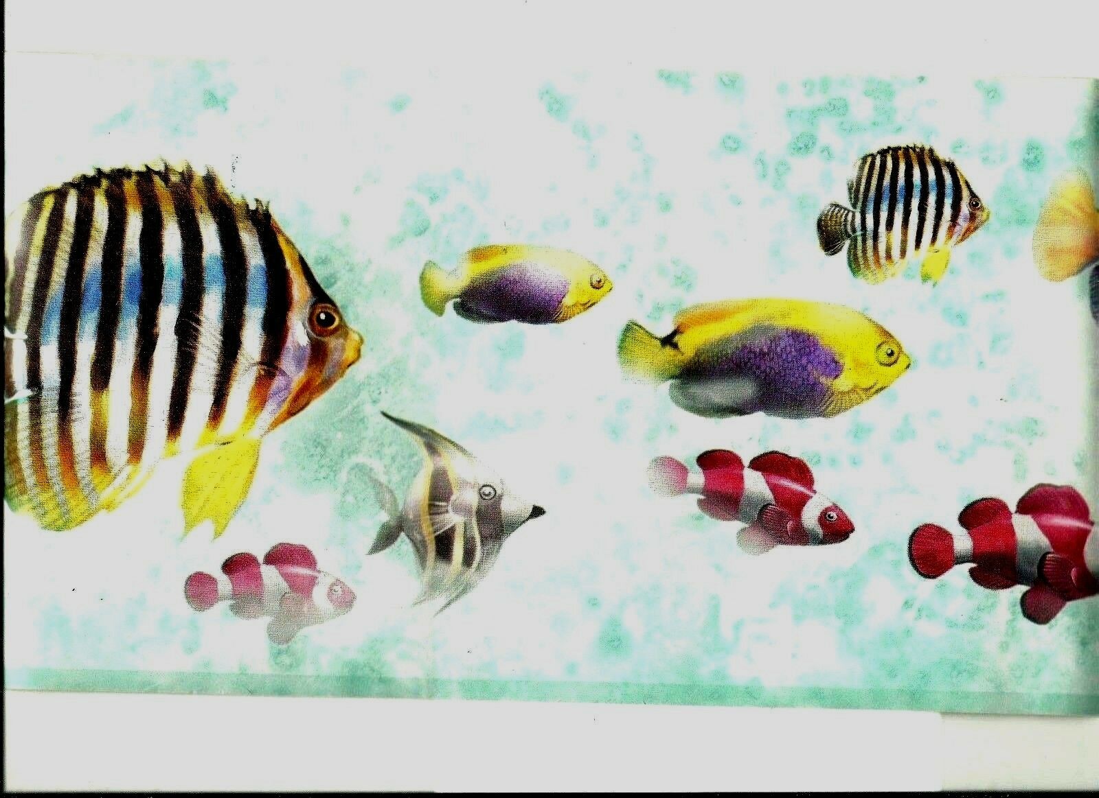 Wallpaper - HD Wallpaper 