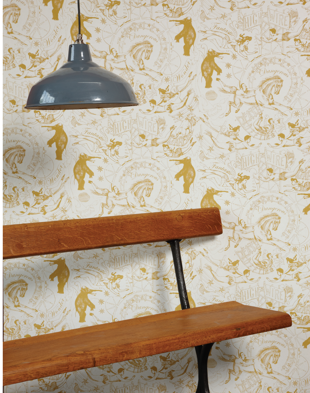 Plywood - HD Wallpaper 