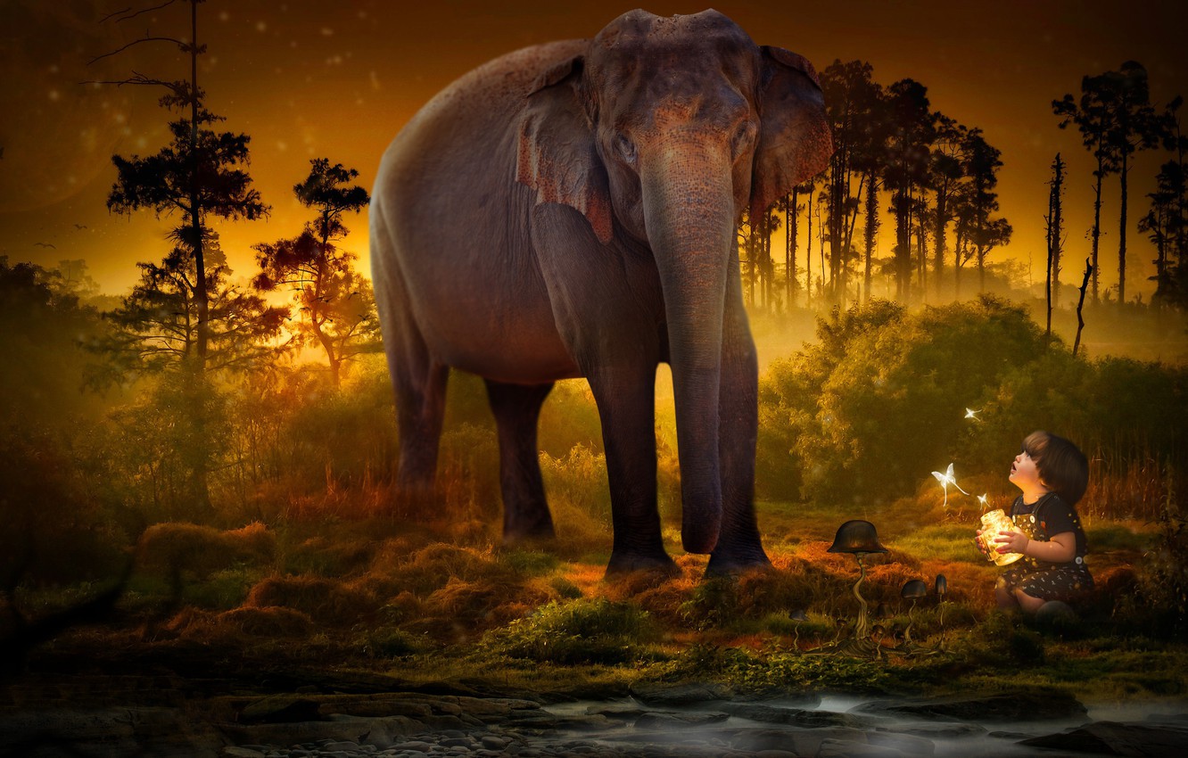 Photo Wallpaper Trees, Butterfly, Elephant, Child, - Good Morning Hd Nature - HD Wallpaper 