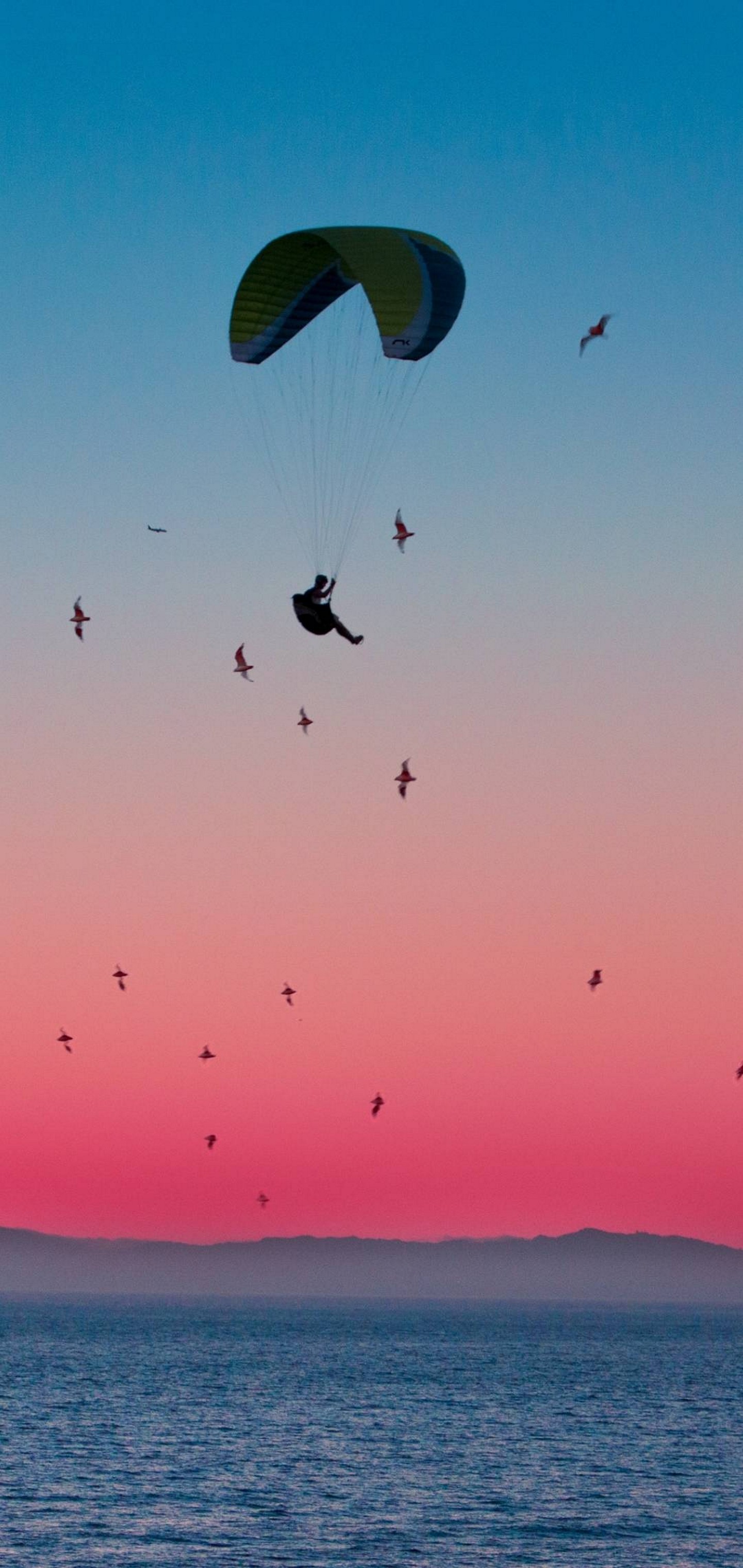 Parachute Flight Sports Wallpaper - Wallpaper - 1440x3040 Wallpaper - Parachute Flight Sports Wallpaper - Wallpaper - 1440x3040 Wallpaper -