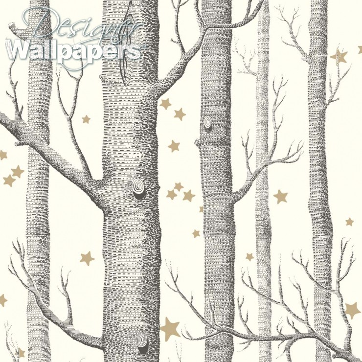 Woods & Stars - HD Wallpaper 