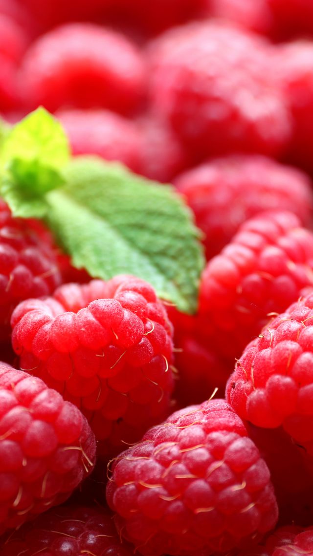 Raspberries, Delicious, 5k - HD Wallpaper 