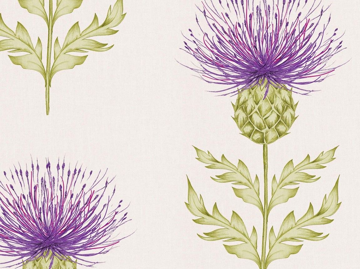 Voyage Thistle Fabric - HD Wallpaper 