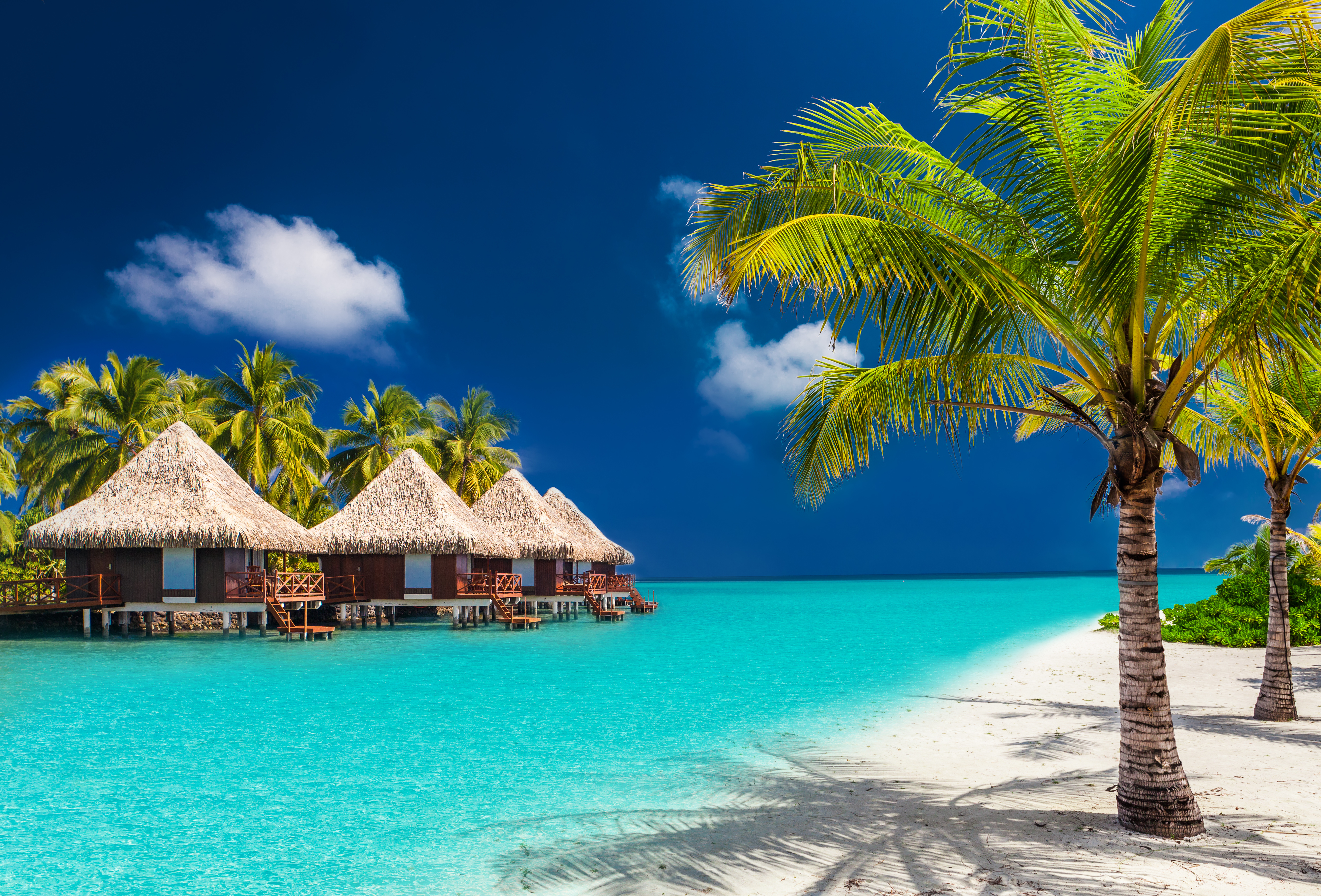 Vacation Bora Bora - HD Wallpaper 