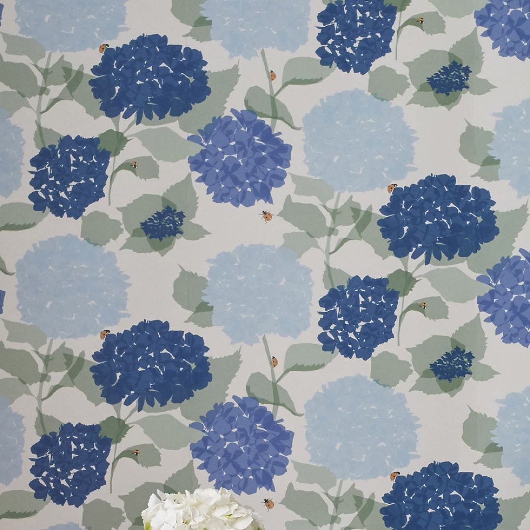 Hydrangea - HD Wallpaper 