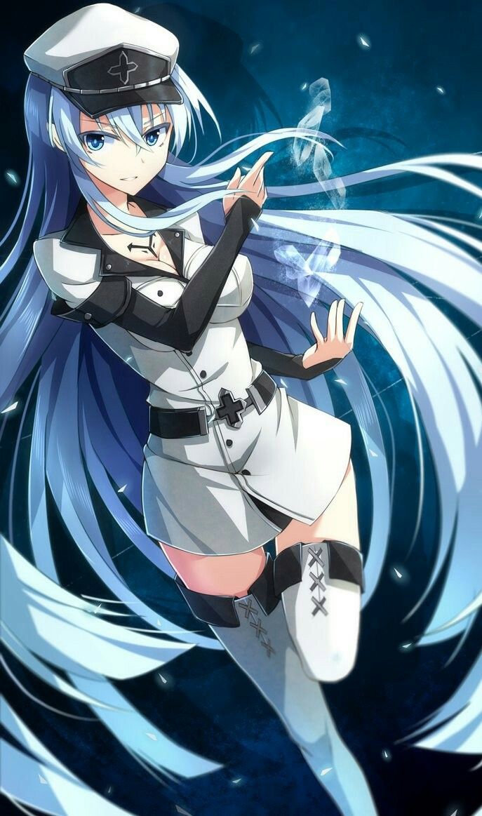 Akame Ga Kill Wallpaper Phone - 687x1163 Wallpaper Akame Ga Kill Wallpaper Phone - 687x1163 Wallpaper