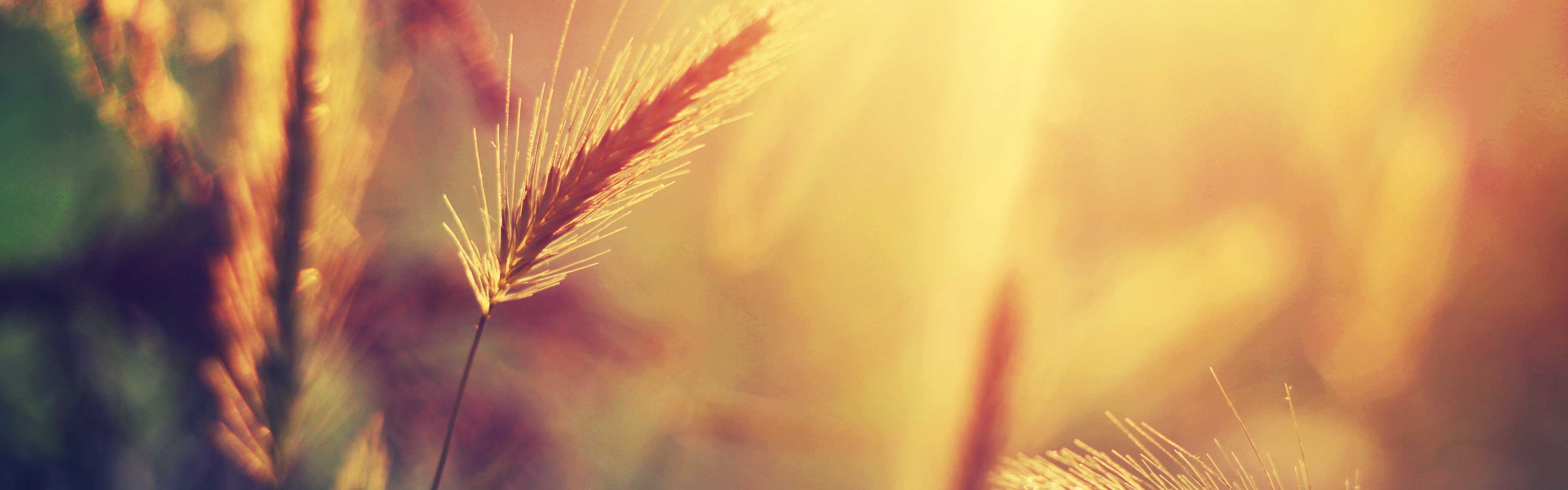 Previous Wallpaper - Slider - HD Wallpaper 