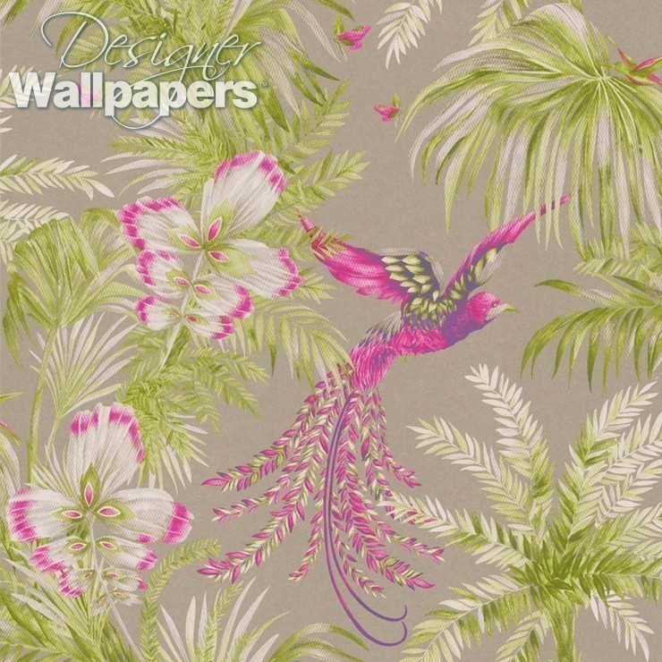 Bird Of Paradise - Teal Wallpaper With Birds - HD Wallpaper 
