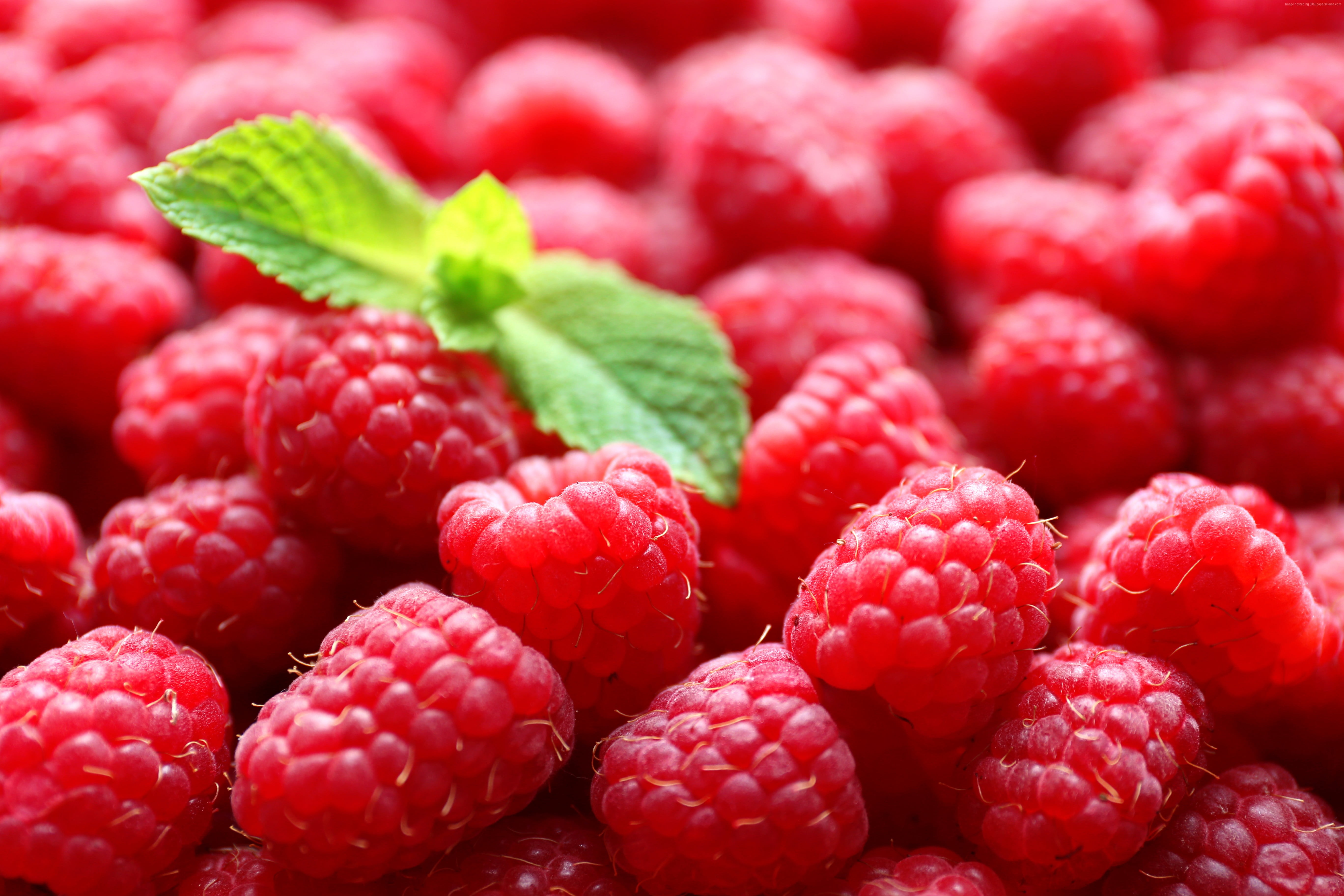 Raspberry - HD Wallpaper 
