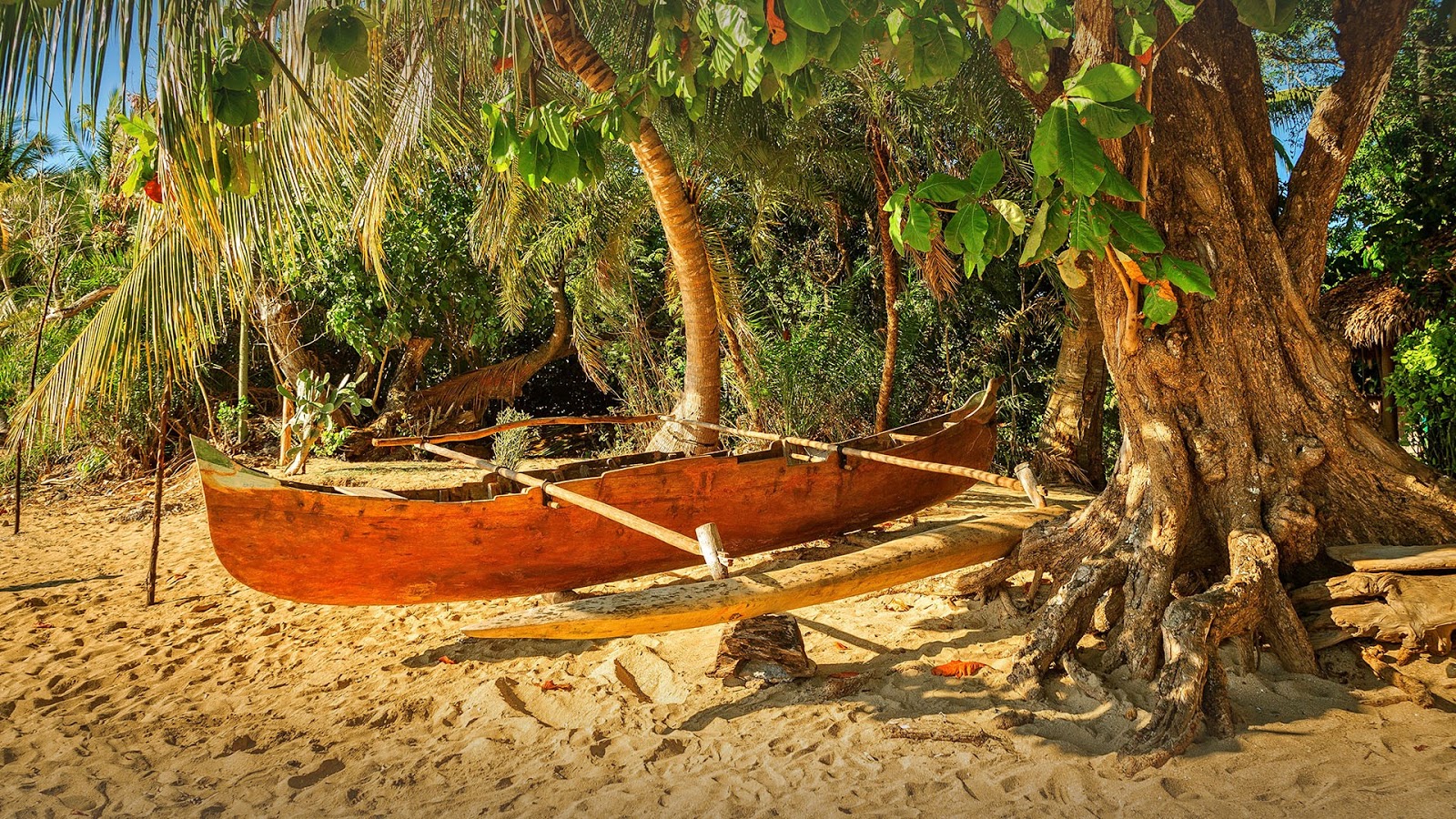 Bing Desktop - HD Wallpaper 