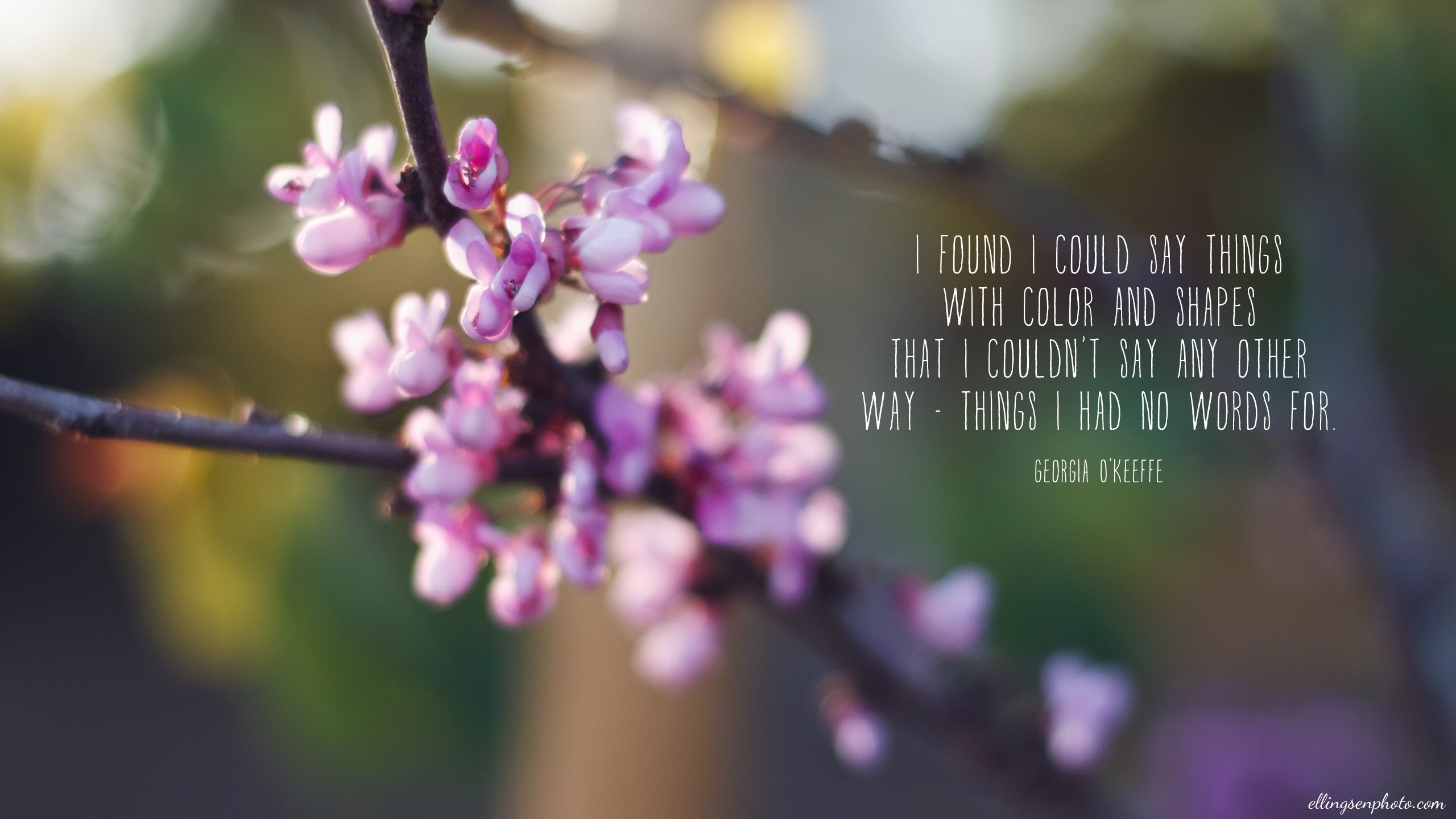 Photography Desktop Backgrounds Wallpaper - Photography Computer Desktop Backgrounds - HD Wallpaper 