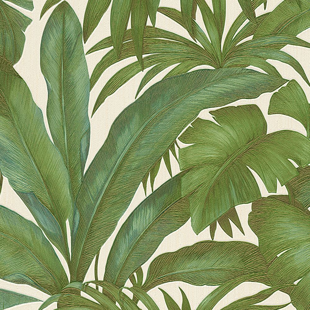 Palm Tree Wallpaper Uk - HD Wallpaper 