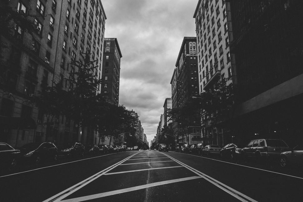 City, Street, Cars, Trees, Black And White Wallpaper,city - Black And White City - HD Wallpaper 