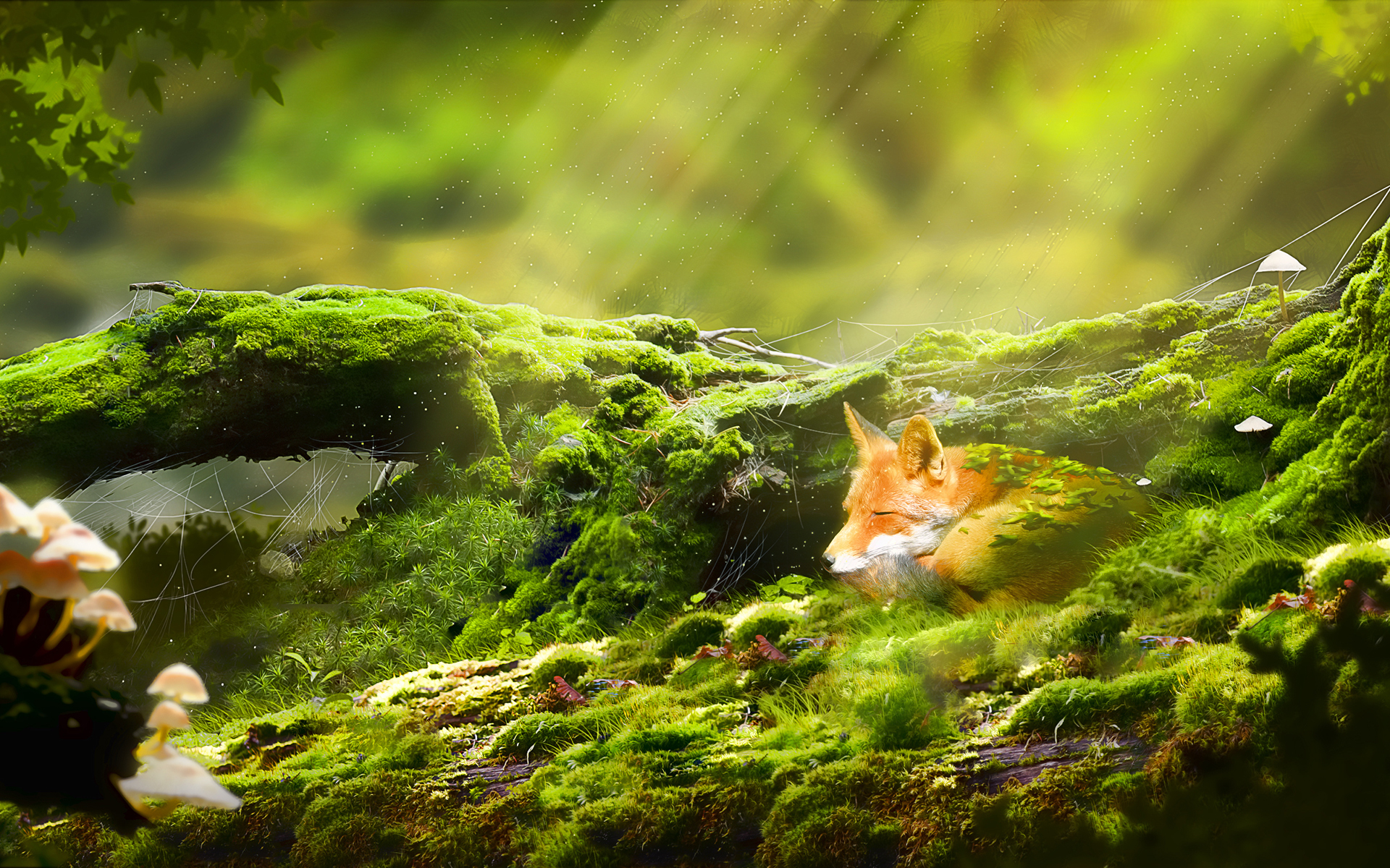 Fox Deep Sleep Art - HD Wallpaper 
