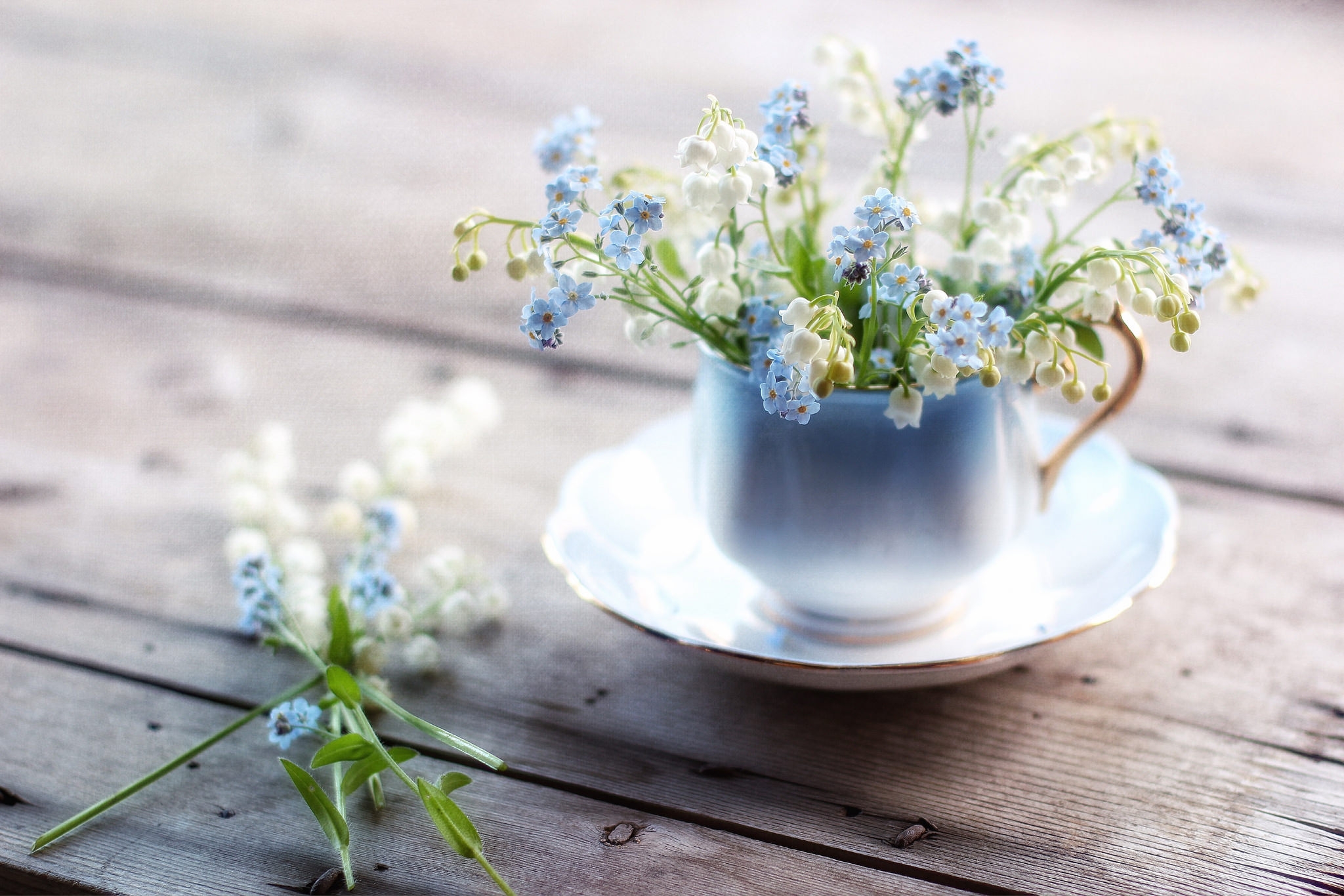 Wallpaper - Forget Me Not And Lily Of The Valley - HD Wallpaper 