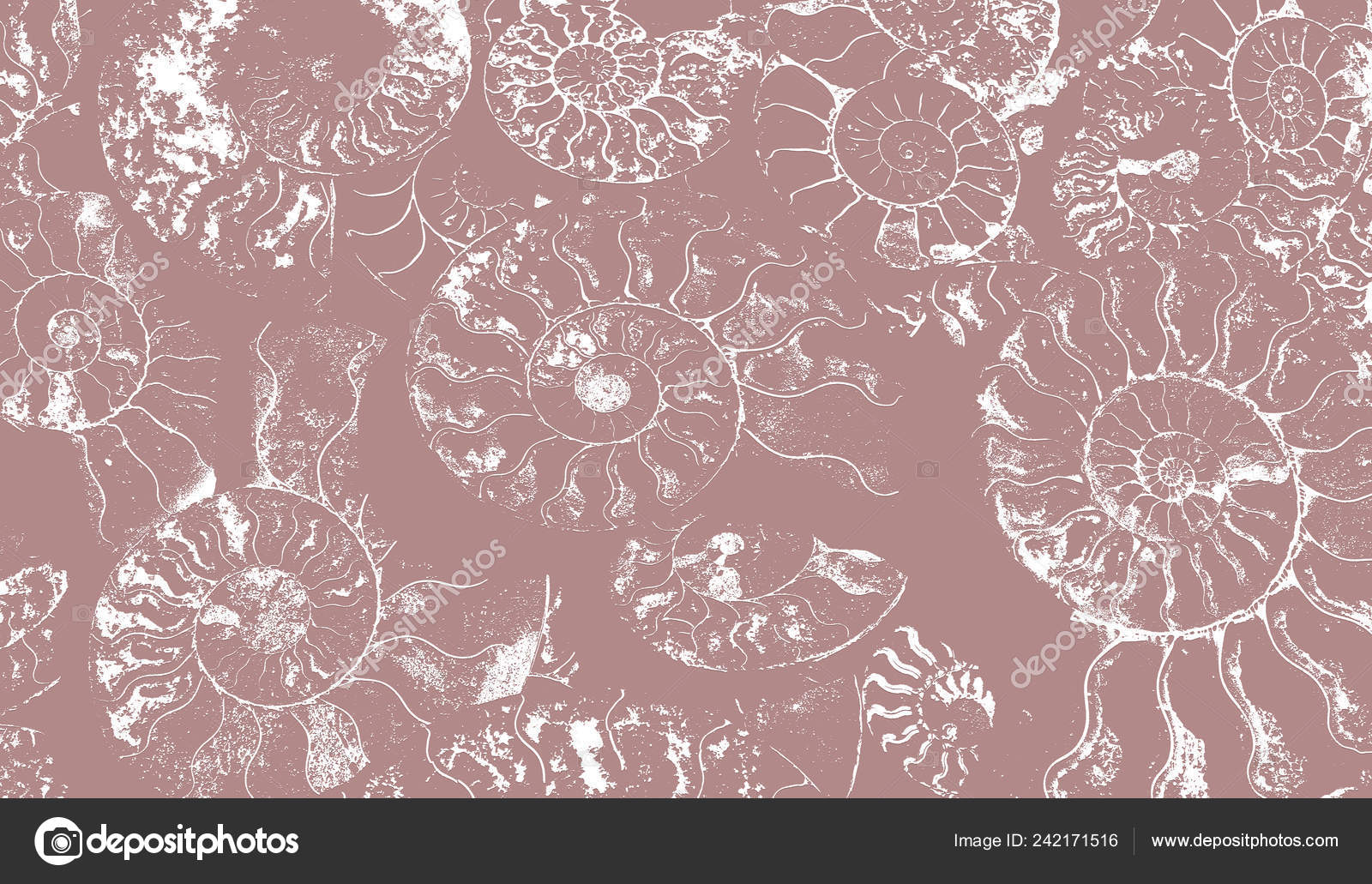 Fossil Background - 1600x1031 Wallpaper - teahub.io