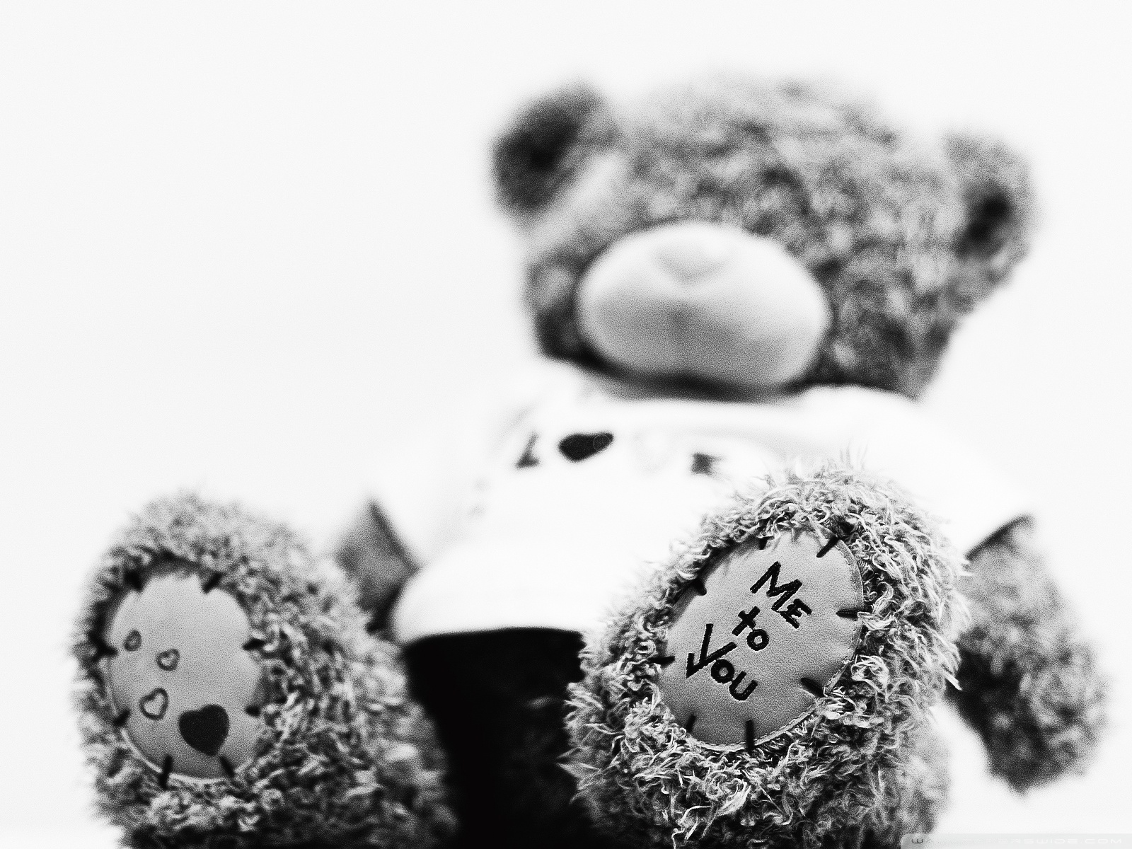 Teddy Bear Wallpaper For Iphone - HD Wallpaper 