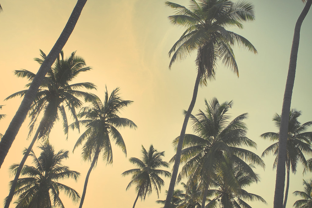 Imagenes Tumblr Estilo Vintage - HD Wallpaper 