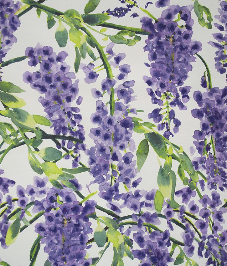 Wisteria - HD Wallpaper 