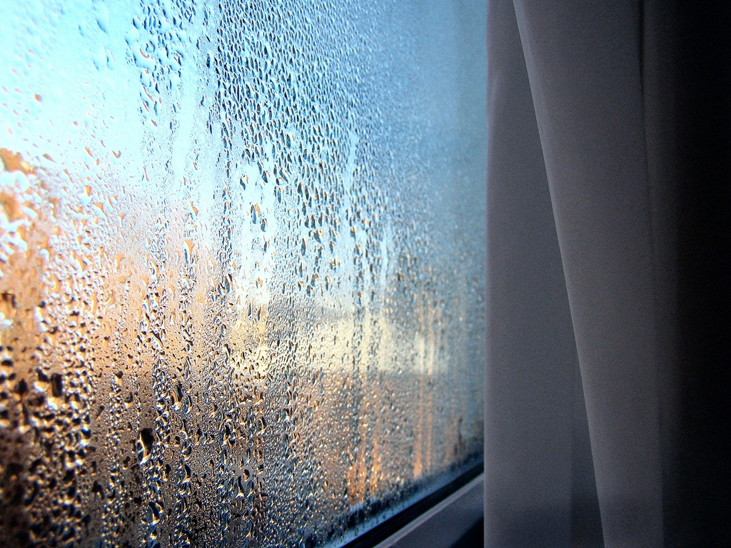 Condensation On Window - HD Wallpaper 