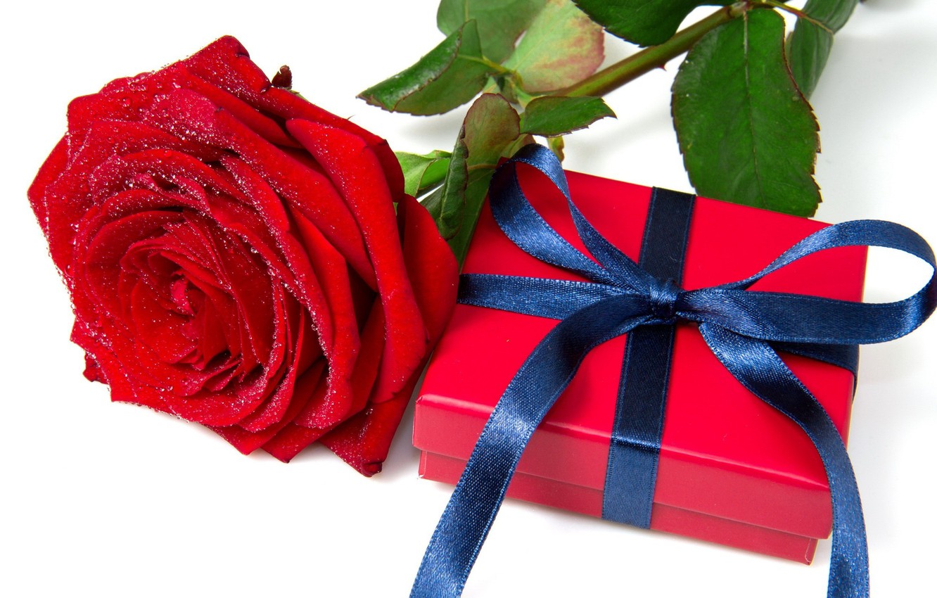 Photo Wallpaper Red, Holiday, Box, Gift, Widescreen, - Birthday Rose Gift - HD Wallpaper 