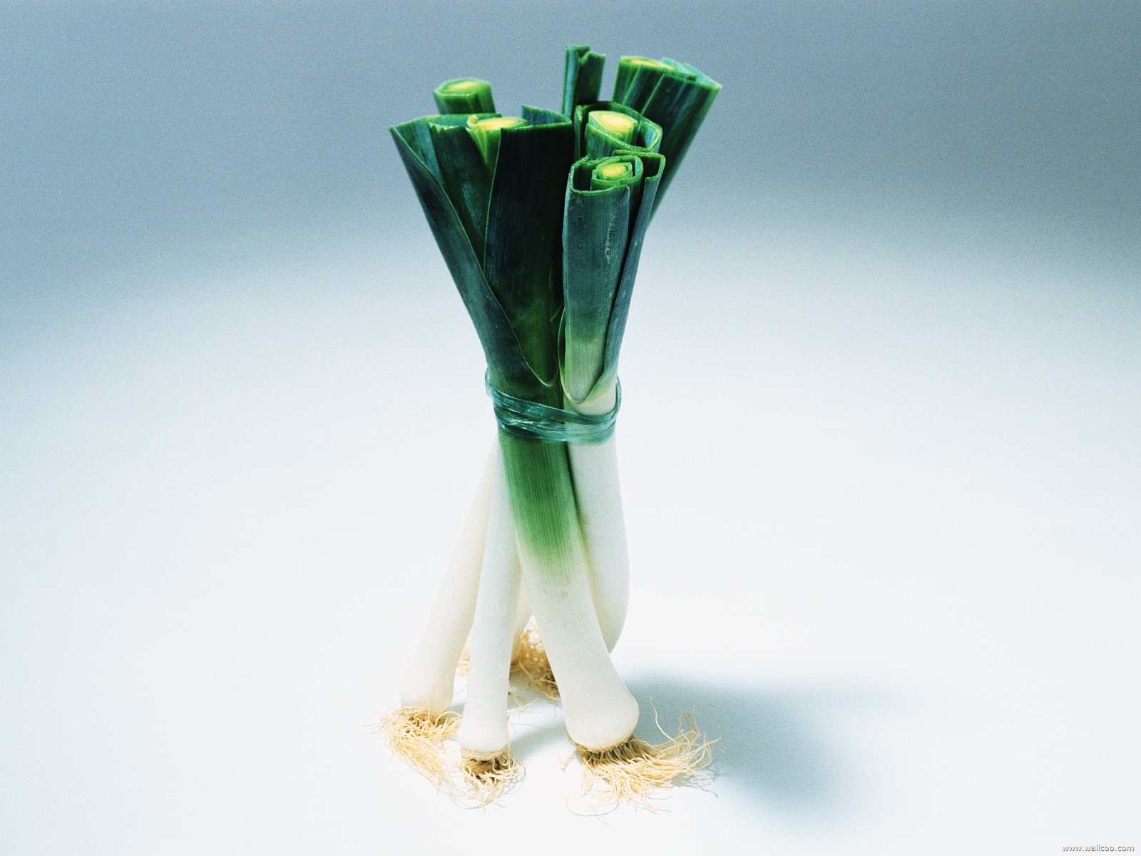 Food Photography, Fresh Vegetables Photos 1600*1200 - Bundle Of Leeks - HD Wallpaper 