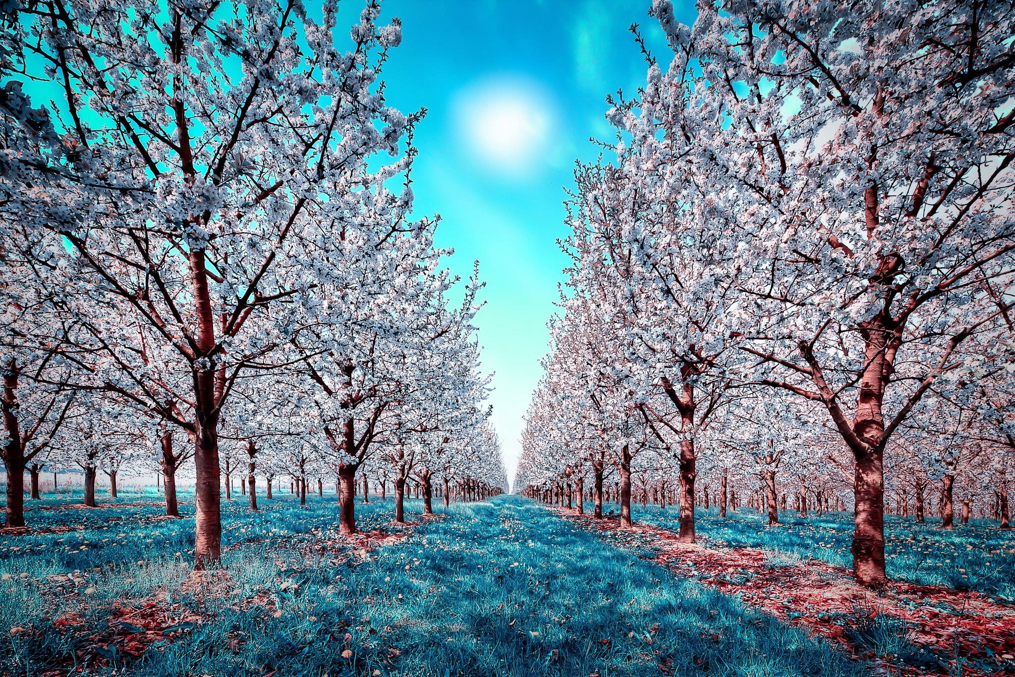 Cool Hd Wallpapers Backgrounds High Resolution Desktop - Background Photography Wallpaper Hd - 2048x1367 Wallpaper Cool Hd Wallpapers Backgrounds High Resolution Desktop - Background Photography Wallpaper Hd - 2048x1367 Wallpaper