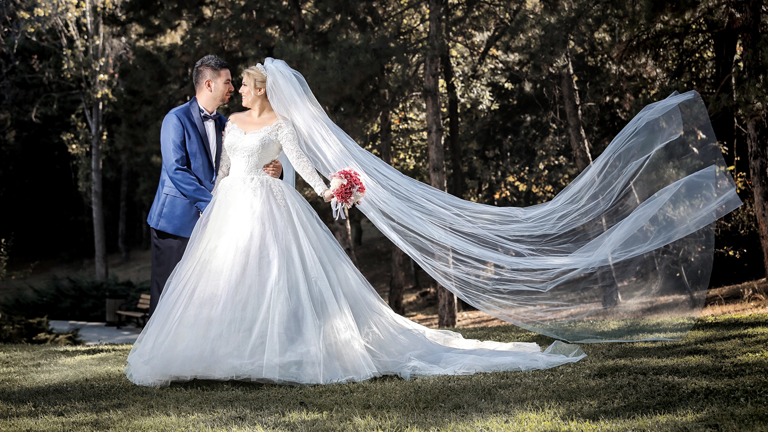 Bride - HD Wallpaper 