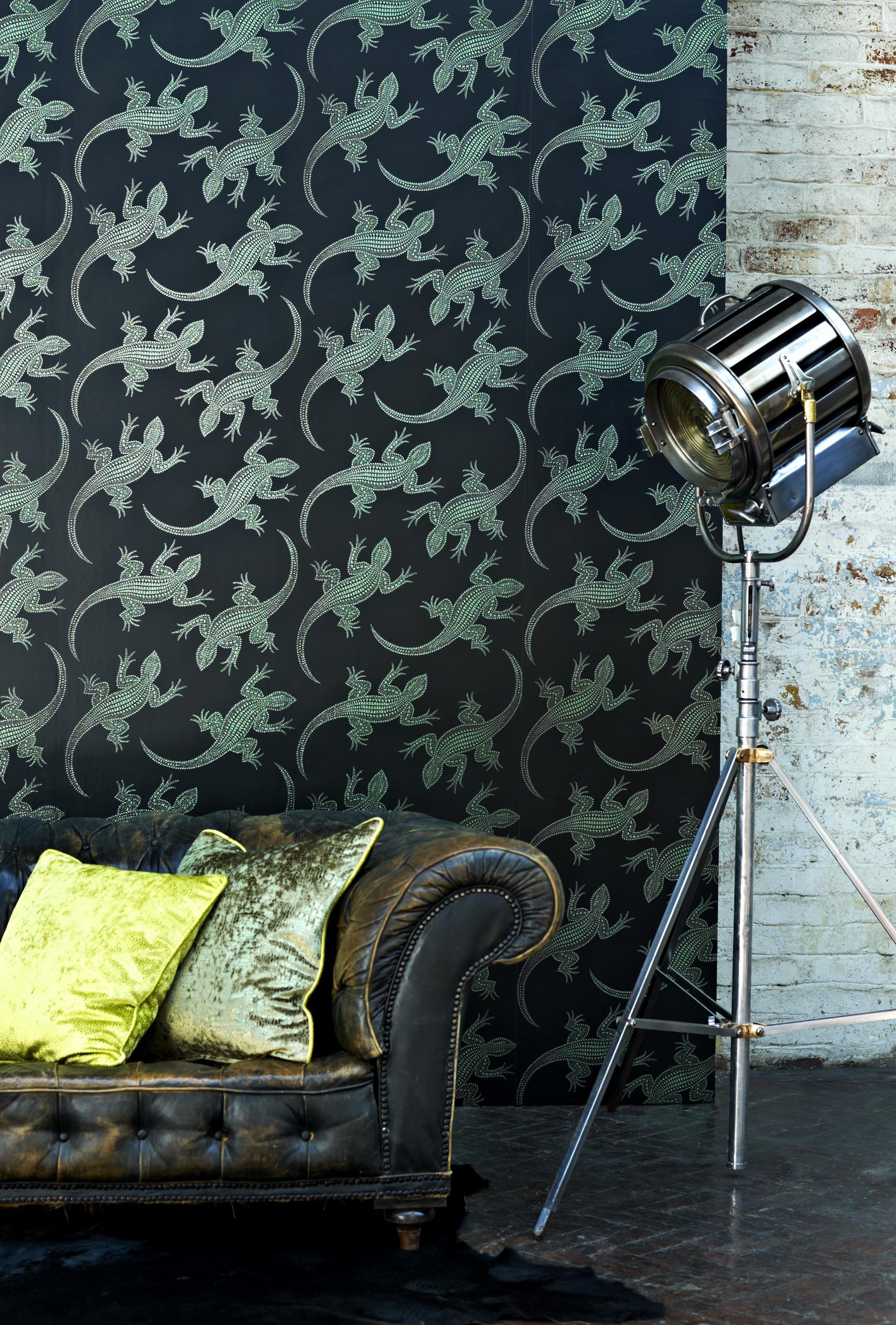 Osborne And Little Komodo - HD Wallpaper 