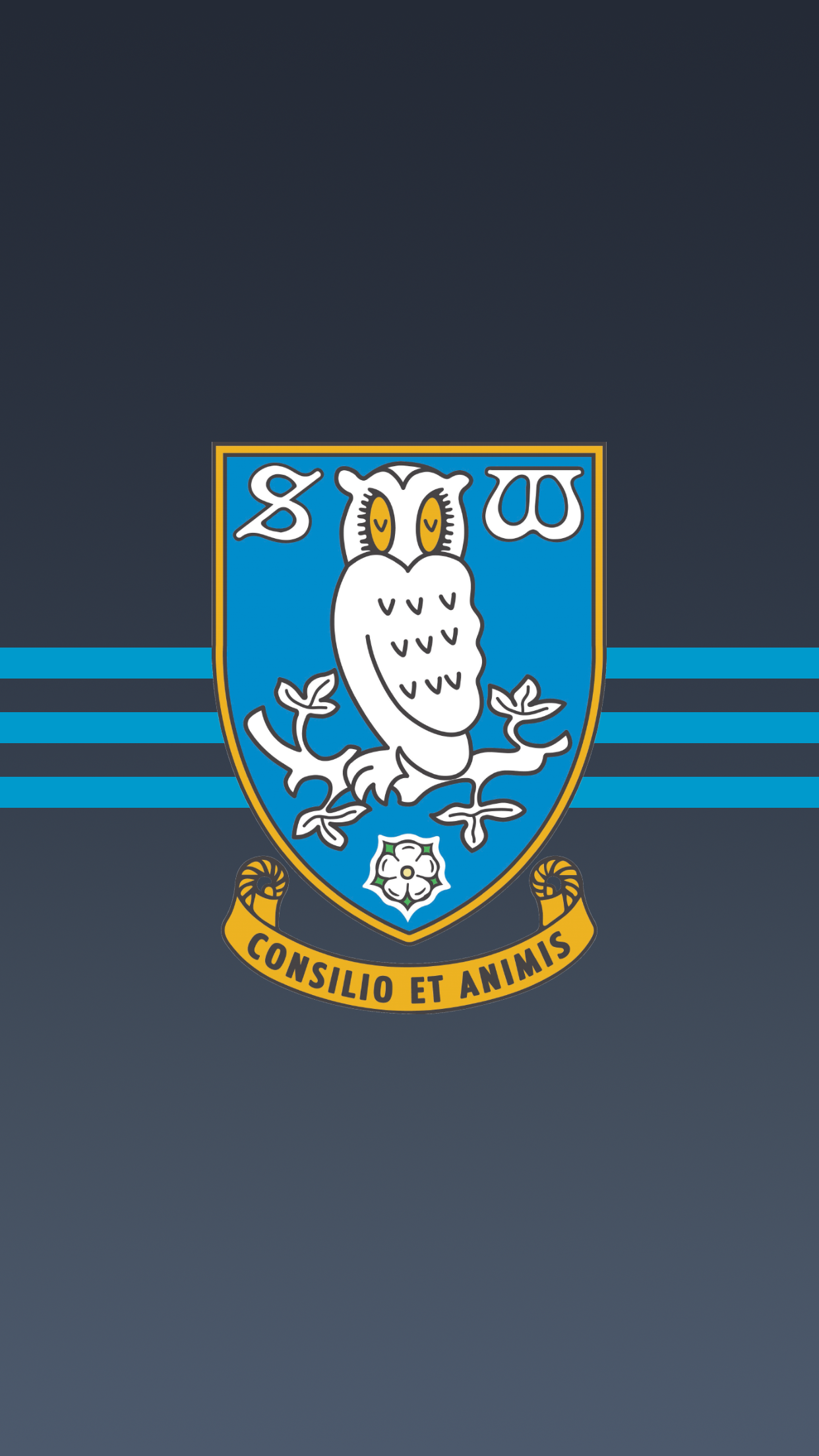 Cardiff City V Sheffield Wednesday - HD Wallpaper 