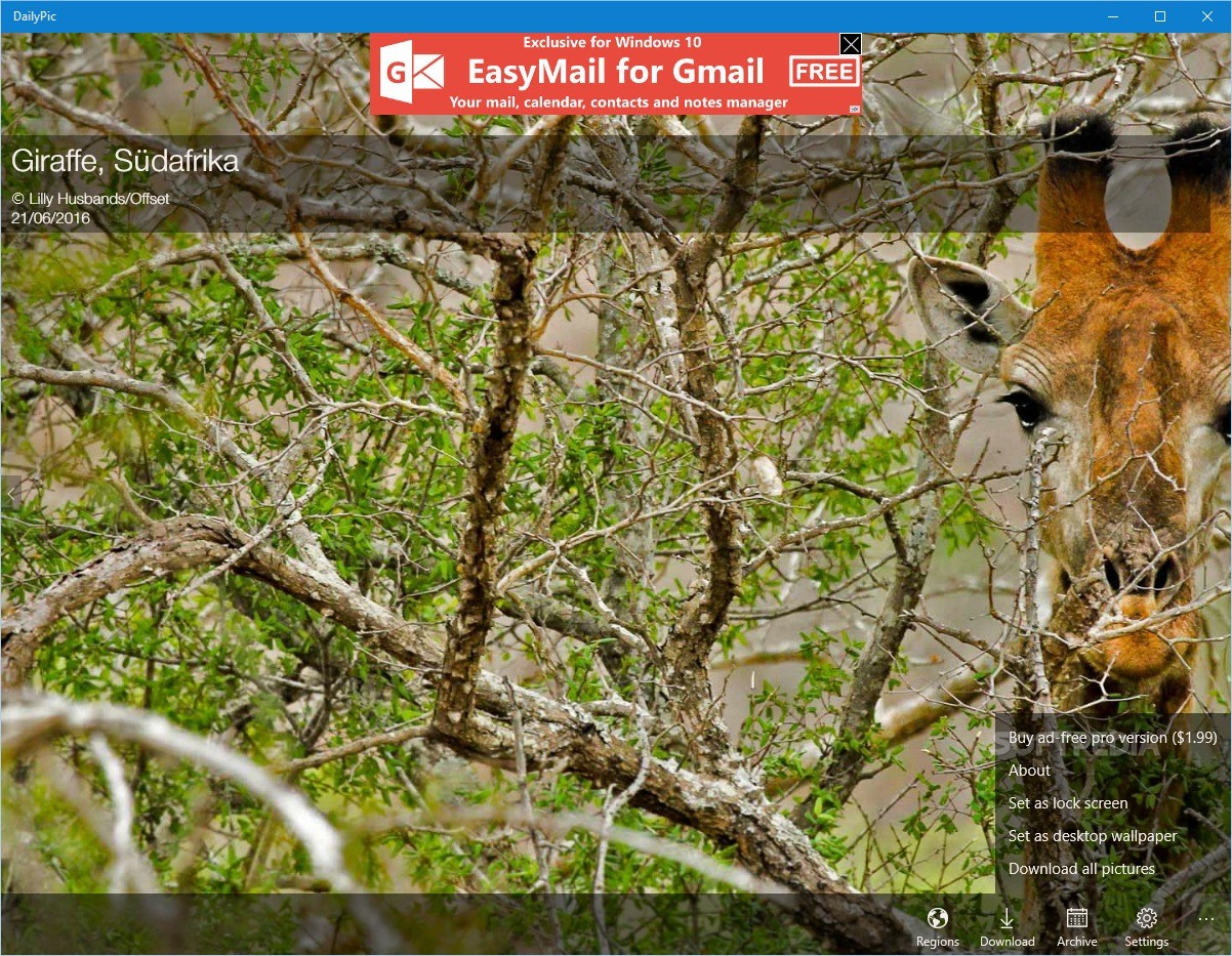 Wallpaper - HD Wallpaper 