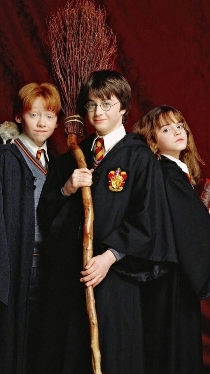 Harry Potter, Hermione Granger, And Ron Weasley Image - Harry Potter  Hermione Et Ron - 720x1280 Wallpaper 