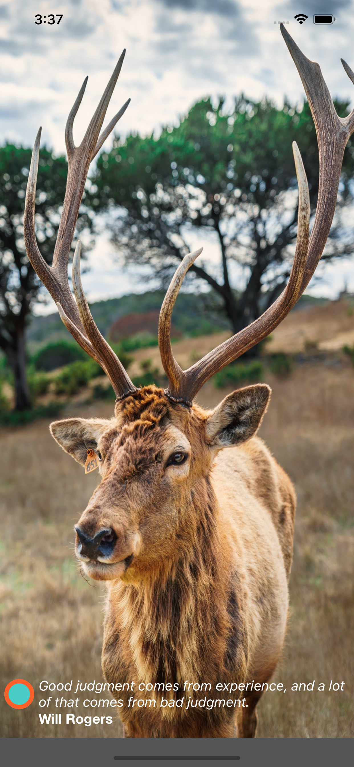 12 Mp Vs 25 Mp - HD Wallpaper 