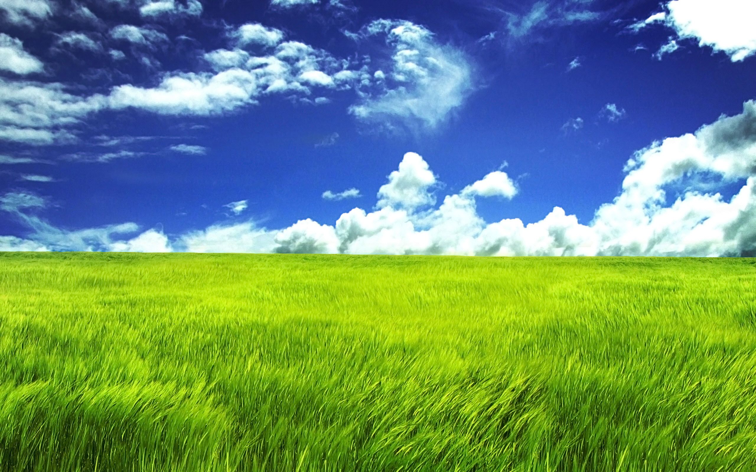 Grasslands Background - HD Wallpaper 