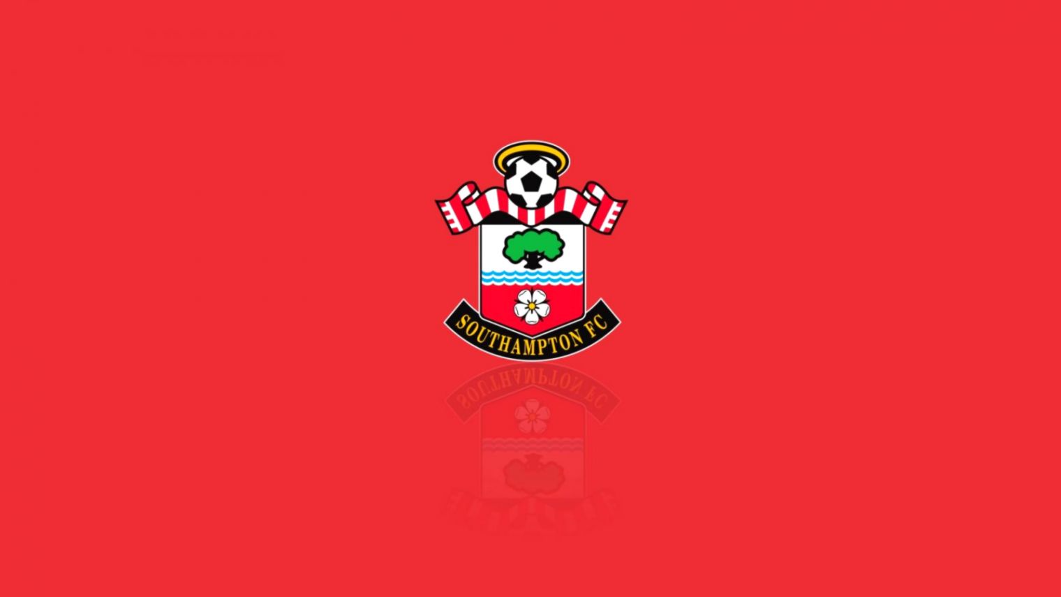 Southampton Football Club Logo Wallpaper Paperpull - Southampton Fc Logo And Background - HD Wallpaper 