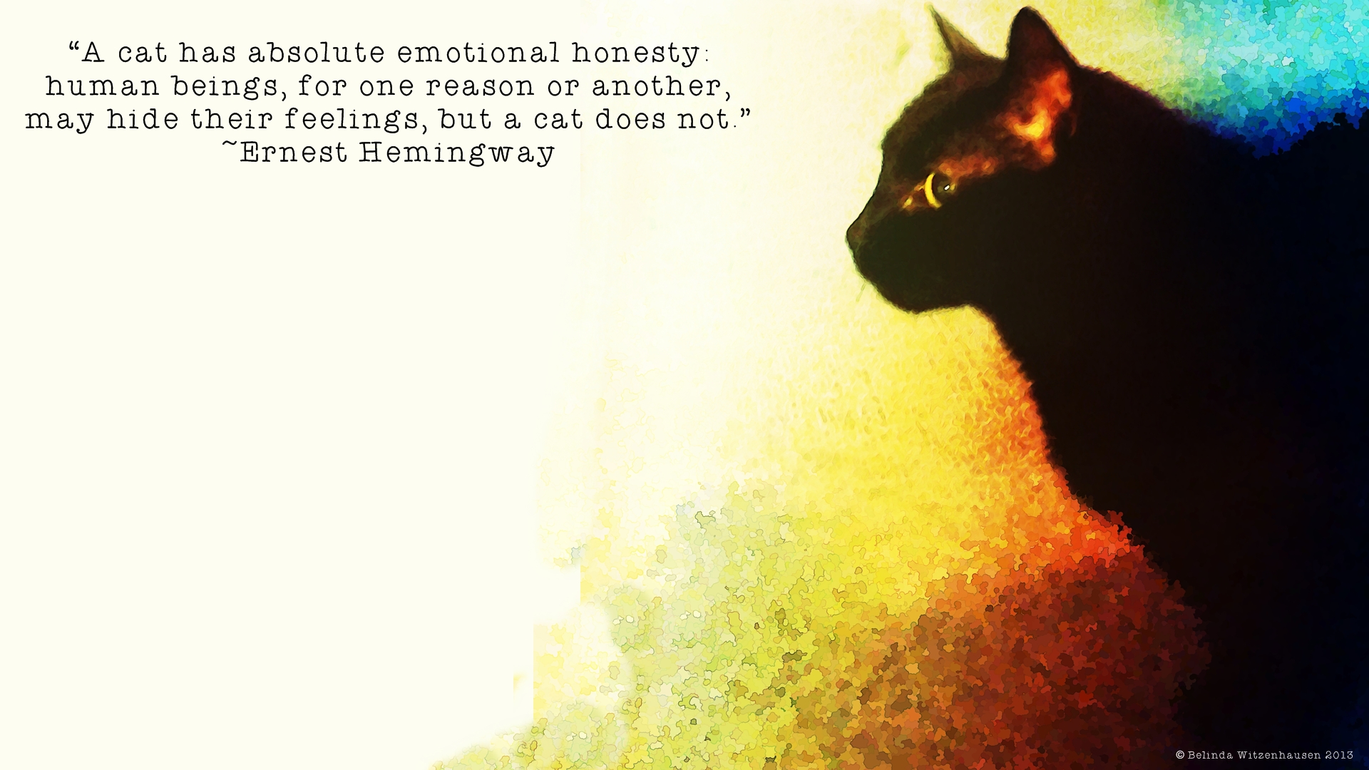 Hemingway Wallpaper - Black Cat - HD Wallpaper 