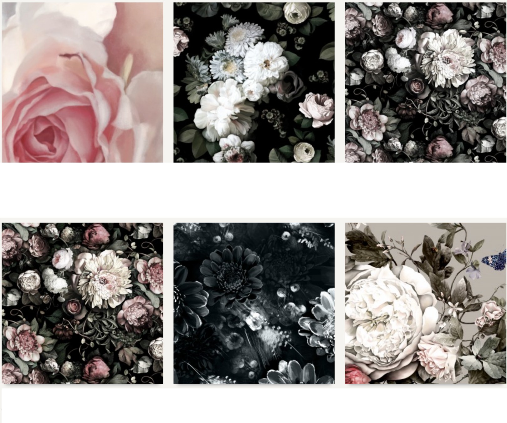 Garden Roses - HD Wallpaper 