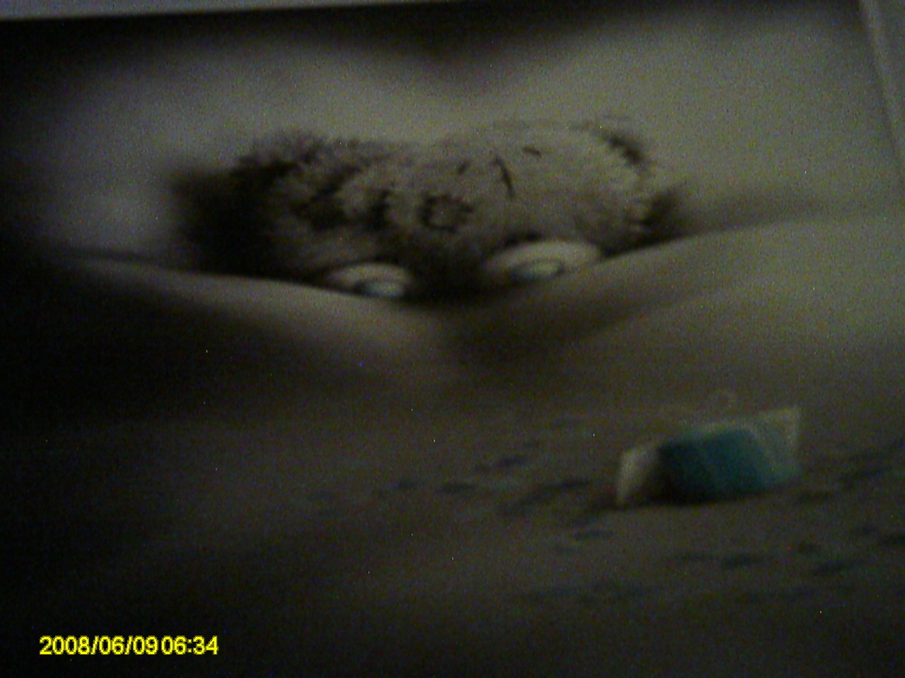 George - Snow - HD Wallpaper 