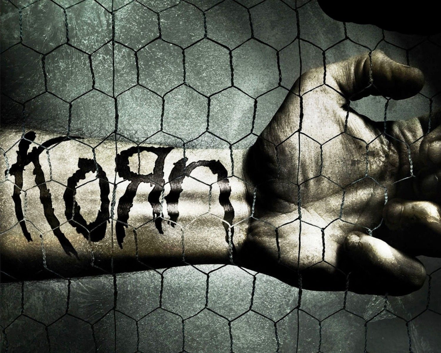 Korn Wallpaper Logo - HD Wallpaper 