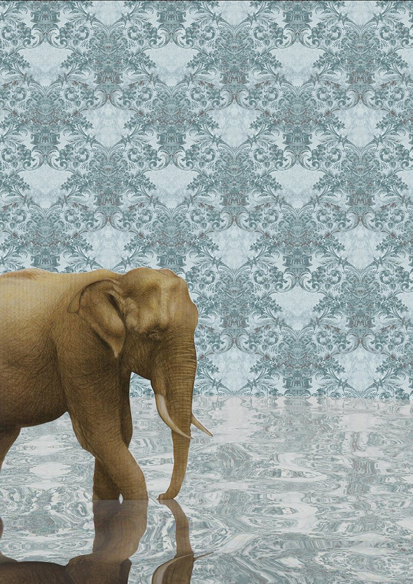 Indian Elephant - HD Wallpaper 