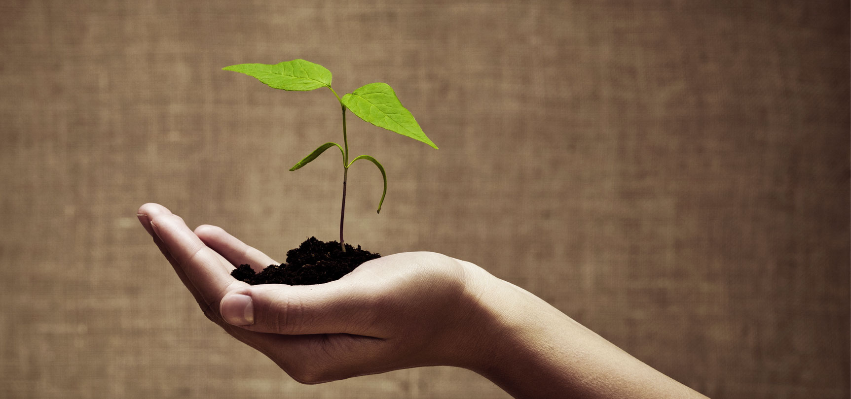 Values - HD Wallpaper 