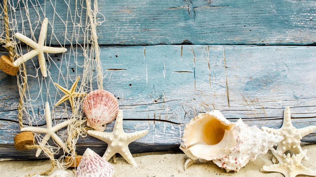 Seashell Wallpaper Beach - HD Wallpaper 