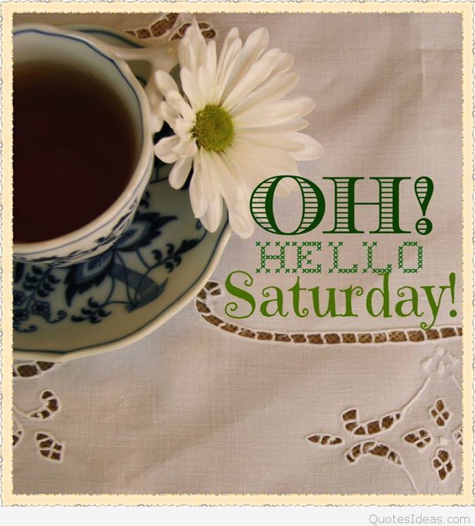 Hello Saturday Wallpaper Hd - Daisy - HD Wallpaper 