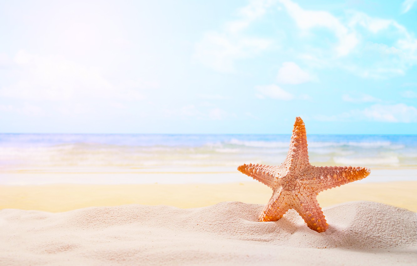 Photo Wallpaper Sand, Sea, Beach, Star, Summer, Beach, - Beach Star Fish - HD Wallpaper 
